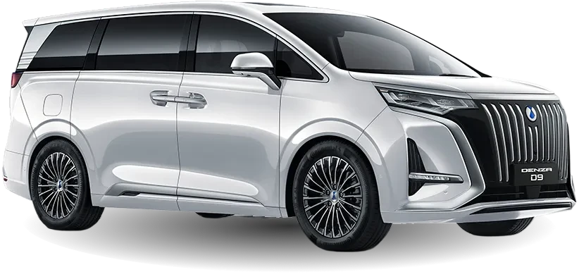Denza D9